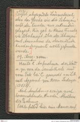 Seite 116, Tagebuch "Mießlingtal b[ei Spitz]" (NHMW-PRAE-BBB-28)